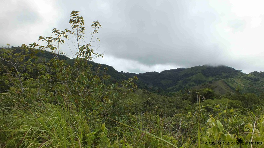 Bergwelt Nicoya-Halbinsel