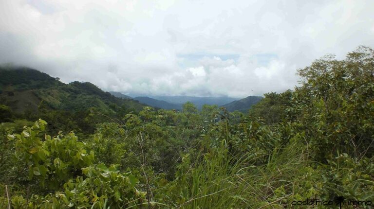 Mehr über den Artikel erfahren Ökotourismus-Projekt in den Bergen von Nicoya