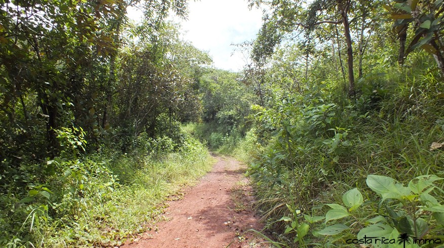 Weg in die Bergwelt Nicoya-Halbinsel
