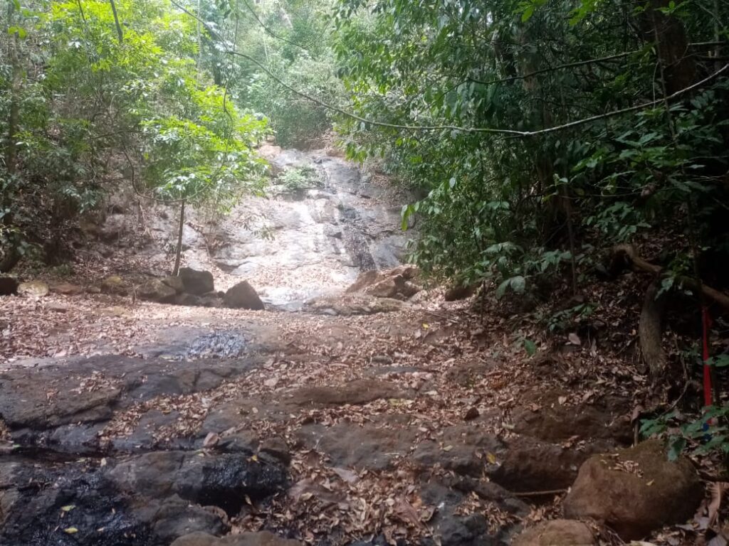 Bachlauf mit Wasserfall