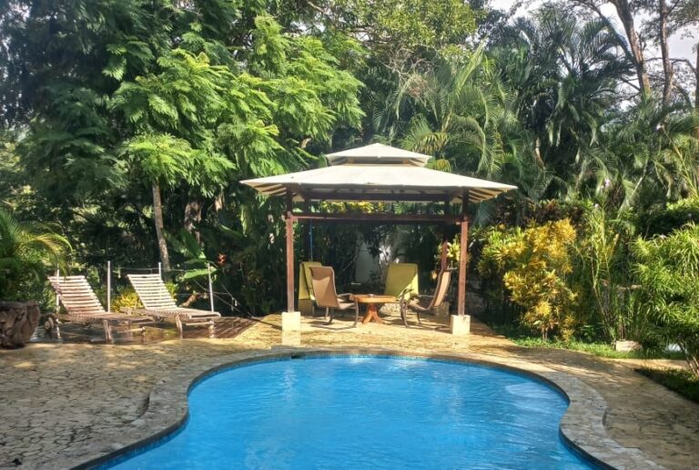 Mehr über den Artikel erfahren B&B in der Nähe von Playa Tambor