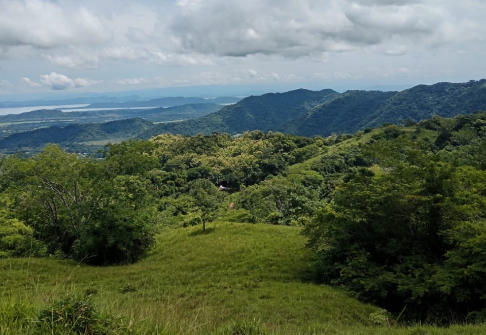 Mehr über den Artikel erfahren Wunderschöne Finca mit herrlichem Golfblick