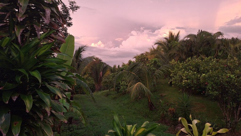 Costa Rica landscape