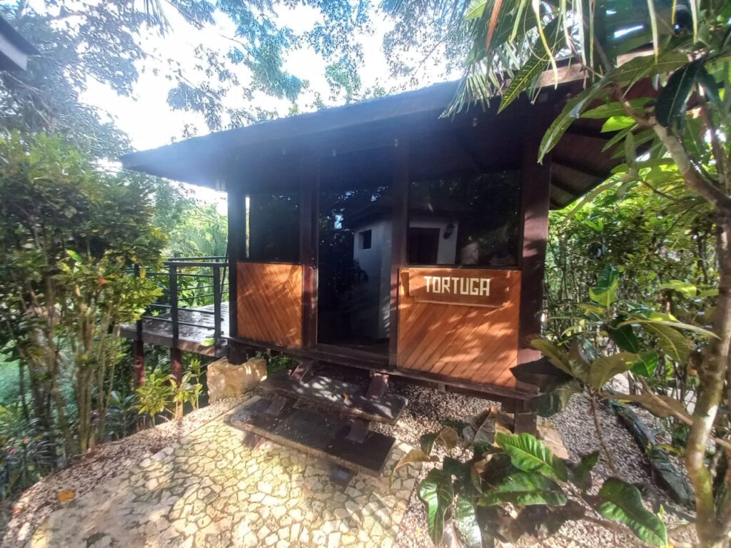 Costa Rica, real estate, pura vida, Guanacaste property, Nicoya peninsula, blue zone, Pacific Ocean property, B&B, bungalow
