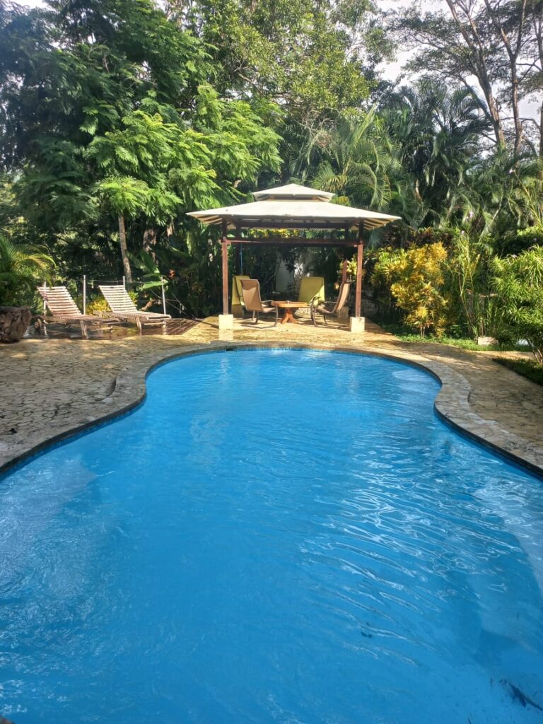 Costa Rica, real estate, pura vida, Guanacaste property, Nicoya peninsula, blue zone, Pacific Ocean property, B&B, swimming pool
