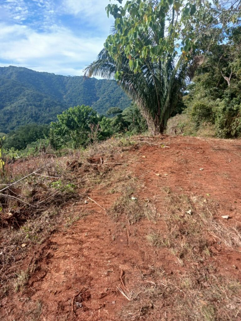 Bauplateau am Pazifik