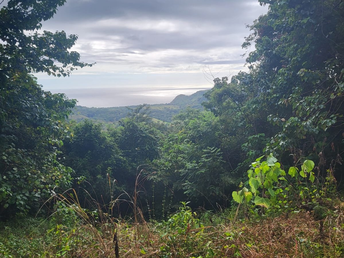 Mehr über den Artikel erfahren Juwel im Dschungel: Paradies nahe Samara