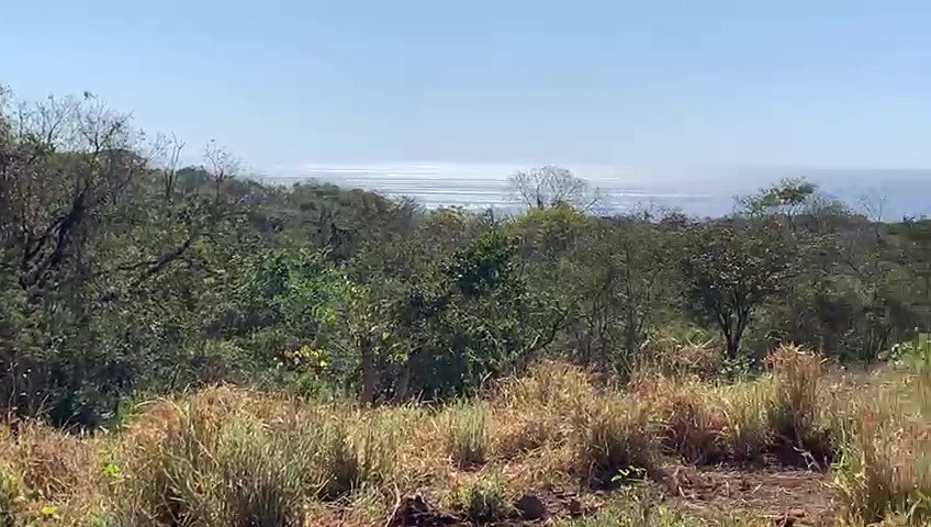 Playa Ostional bei Nosara