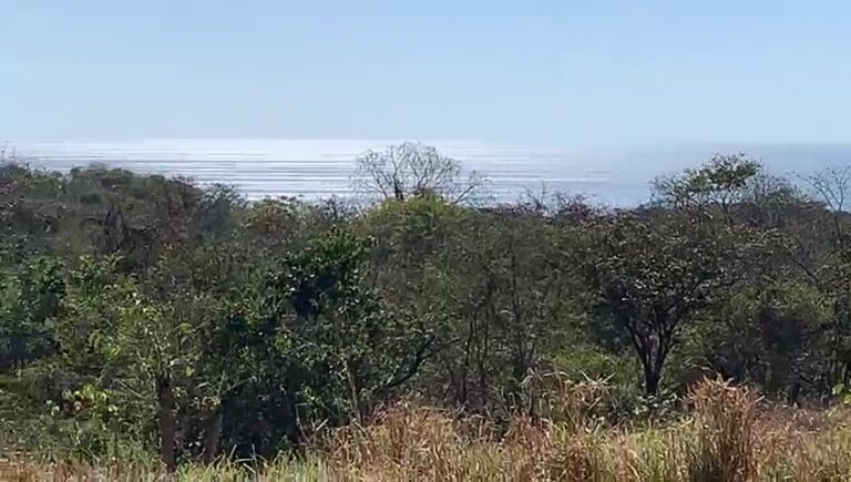 Mehr über den Artikel erfahren Playa Ostional Investition: ​​6,4 ha mit Panoramablick auf den Ozean