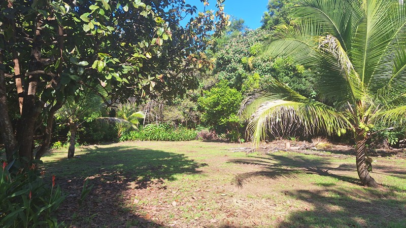 Costa de Oro Strandgrundstueck