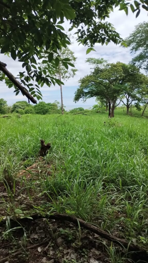 Investieren in Guanacaste