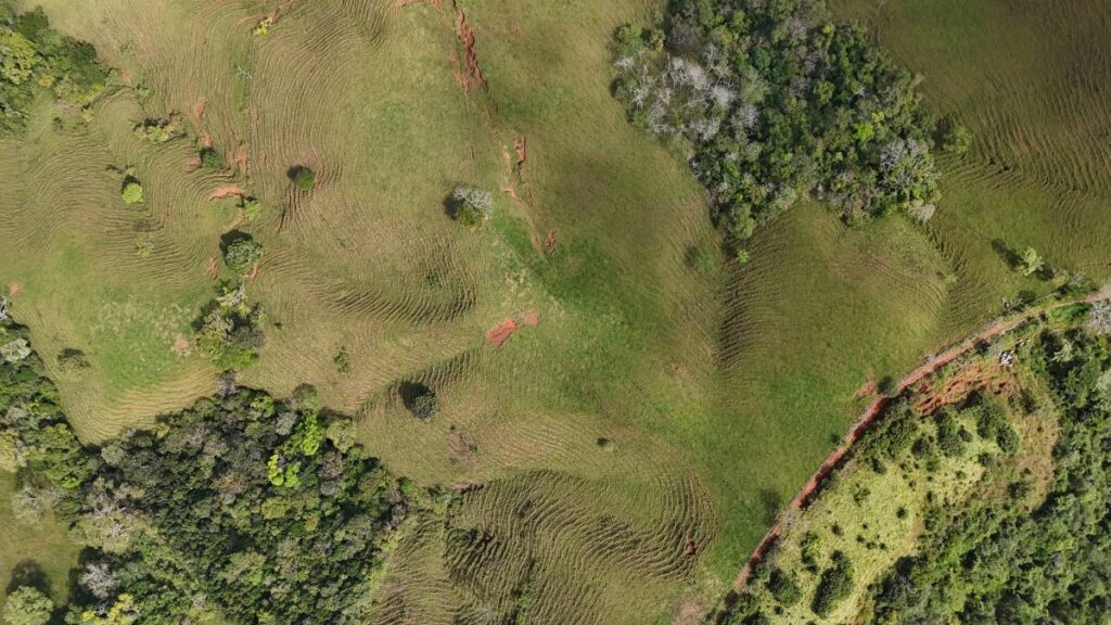 Fruchtbares Weideland in Guanacaste