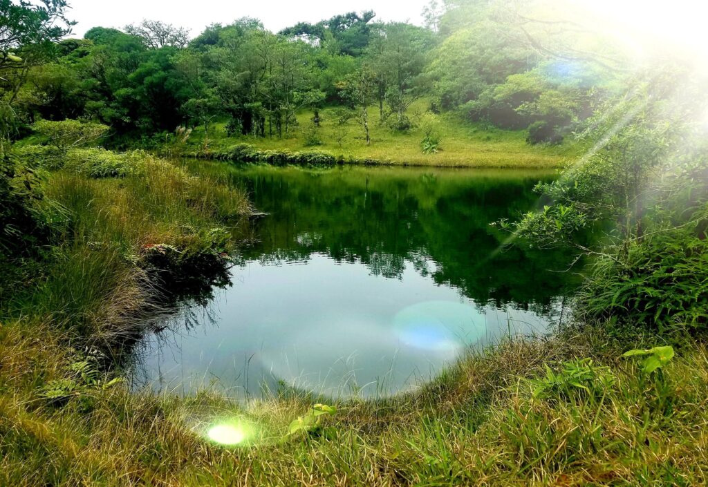 Natur pur in San Ramon, Costa Rica