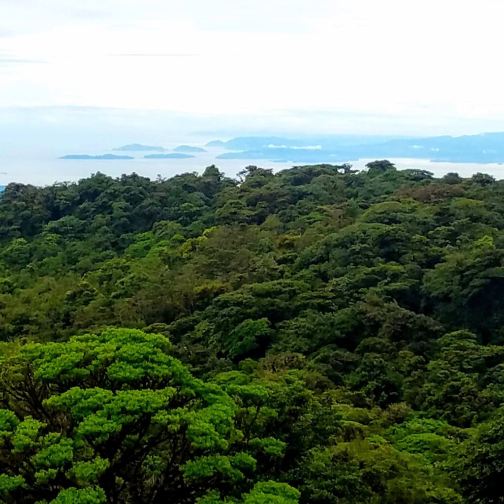 Meerblick bei San Ramon