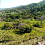Finca am Pazifik