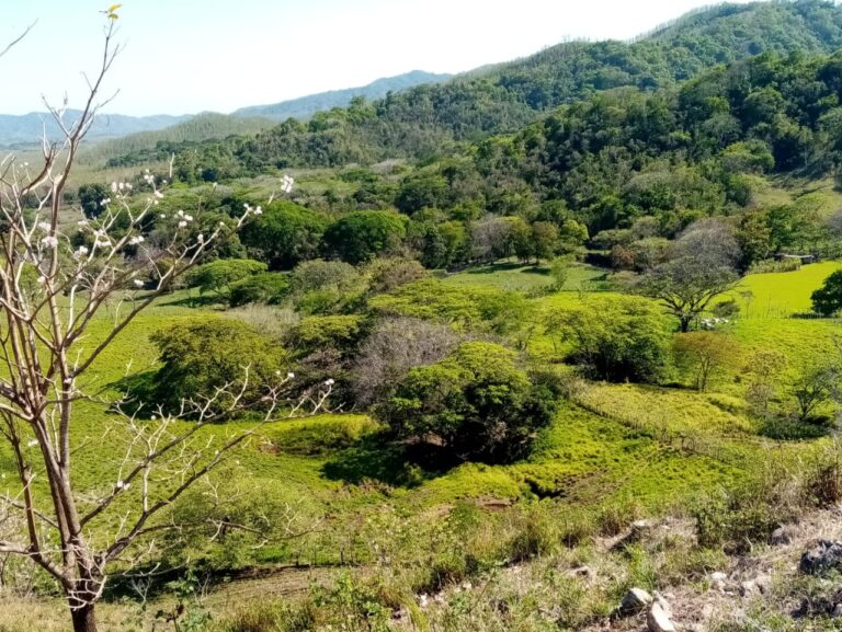 Mehr über den Artikel erfahren Tolle 26 ha Finca 5 km vom Pazifik entfernt