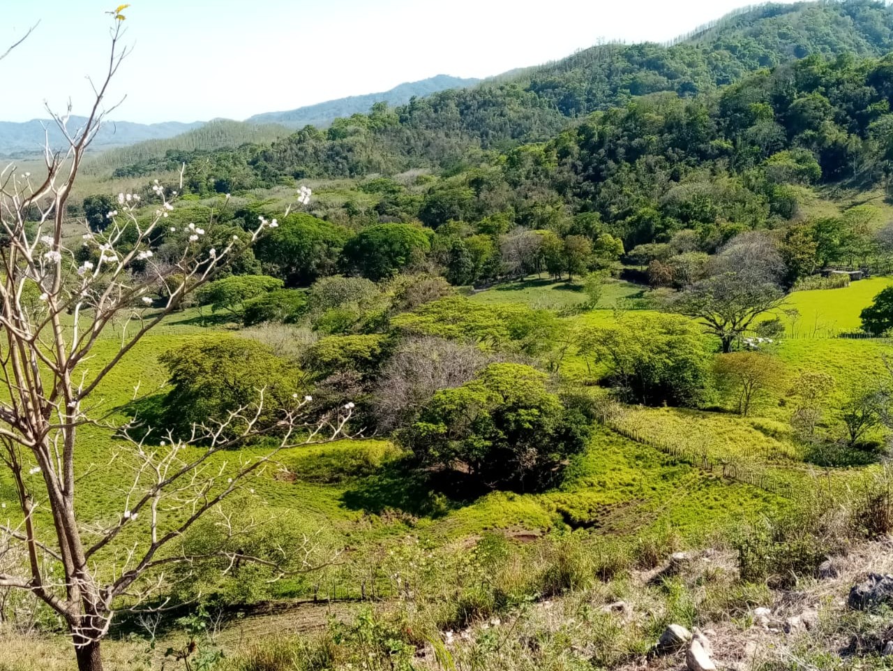 Mehr über den Artikel erfahren Tolle 26 ha Finca 5 km vom Pazifik entfernt